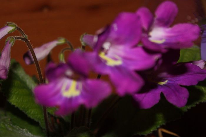 IMG_9916 - Septembrie 2013