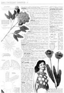 265038--39979961-h200-u50994 265038--39979961-h200-u50994