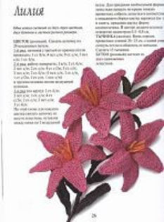 265038--39979965-h200-u13197 265038--39979965-h200-u13197