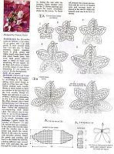 265038--39980532-h200-uaee7c