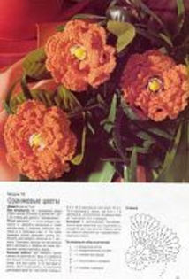 265038--39980605-h200-u2fe7a