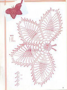 408216_358563154225564_2017063879_n