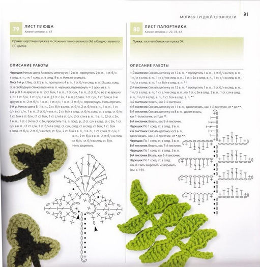 488250_357080531040493_1864355602_n