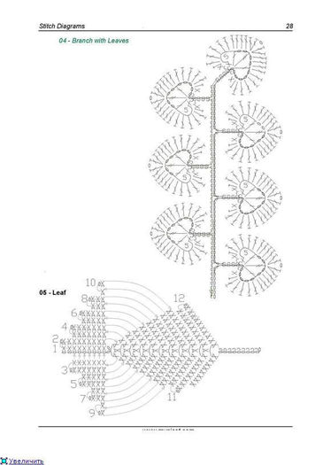 527909_357079887707224_922162210_n