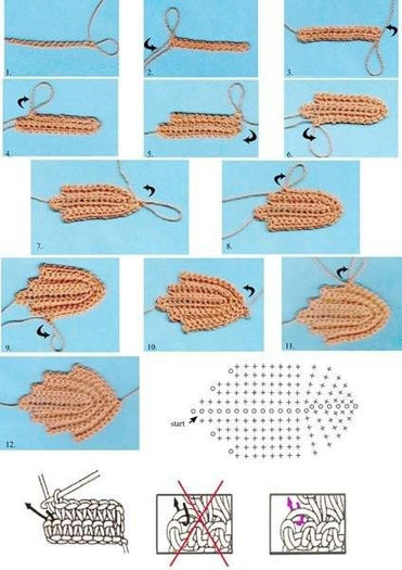 538845_357081187707094_2025461826_n