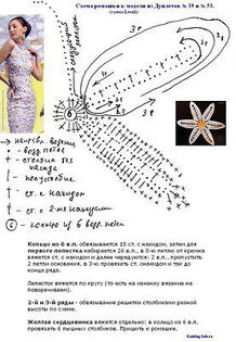 539086_356660544415825_275104729_n