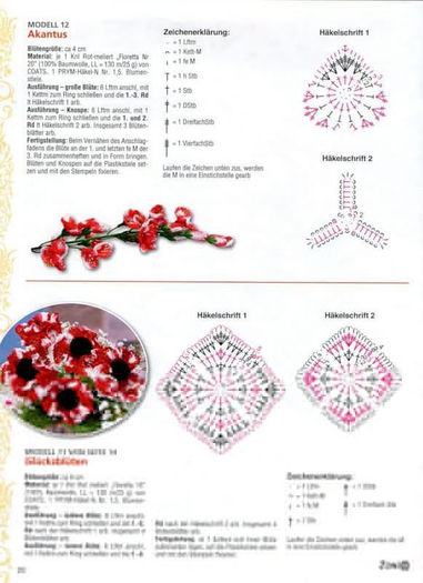 539161_355347271213819_1467329882_n