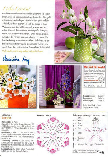 539219_355347224547157_1978145773_n