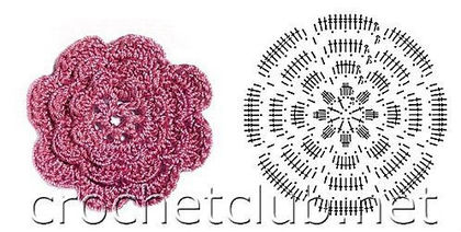 546530_358563104225569_48261704_n