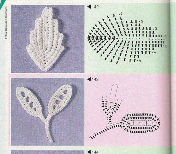 564258_355346734547206_1274544846_n