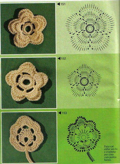 574500_357081147707098_1231435679_n