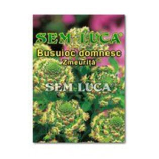 busuioc domnesc-1,00g