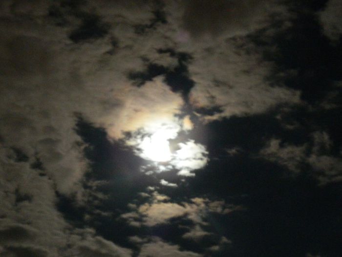 DSCN2248