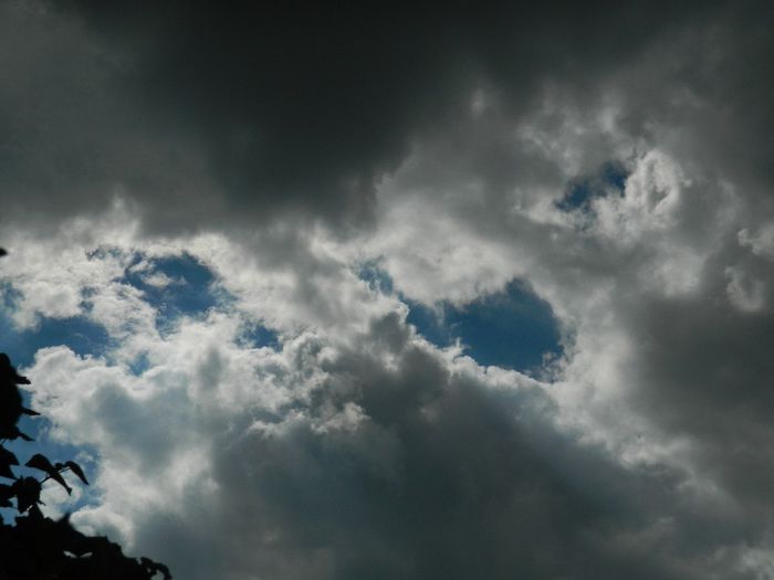 DSCN2305