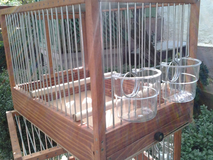 Picture 015 - COLIVI CANARI   -30X20X20