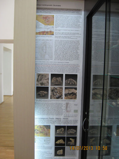 disparitiei mineritului din ROMINIA.