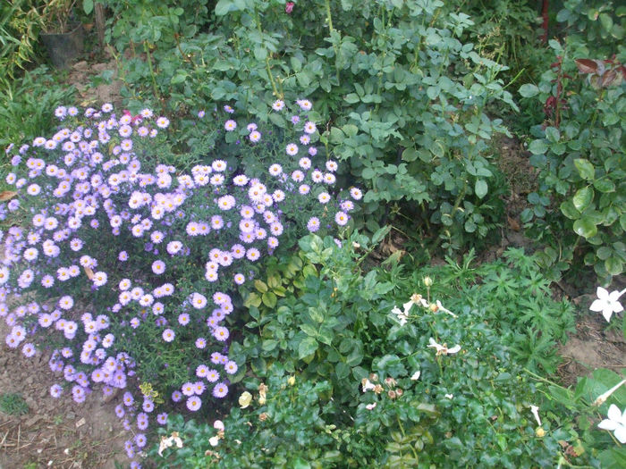 DSCF2805