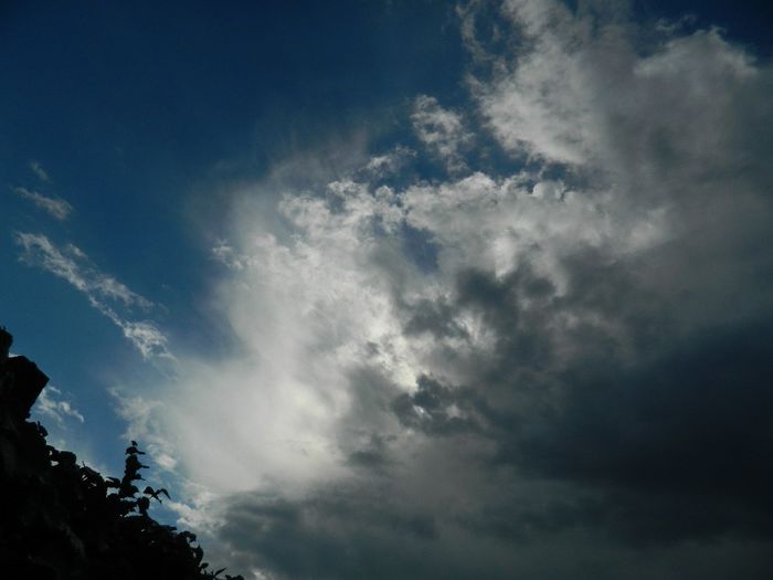 DSCN2342