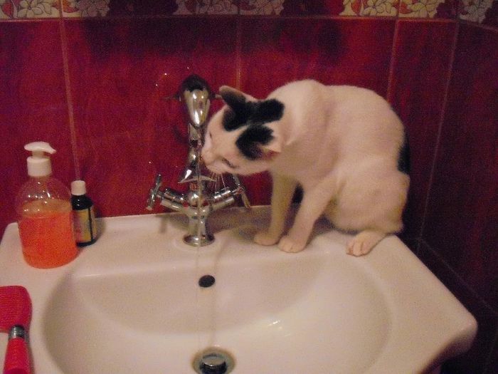 Picture 993