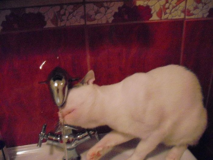 Picture 997