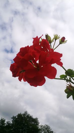 WP_20130922_112