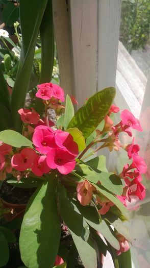 WP_20130922_056