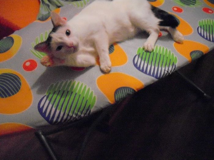 Buna,bunico!
