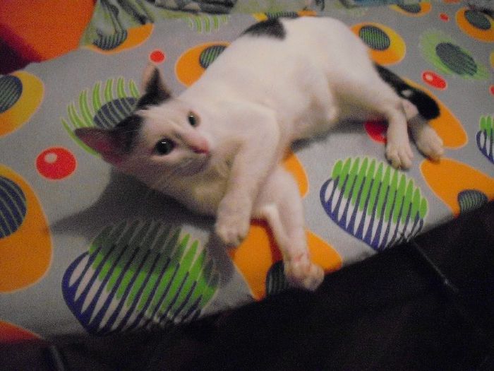 Picture 999