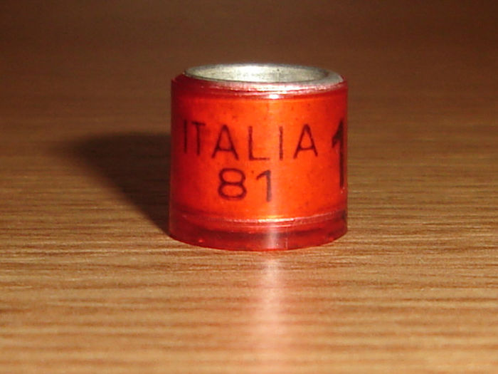 Italia 1981 - ITALIA