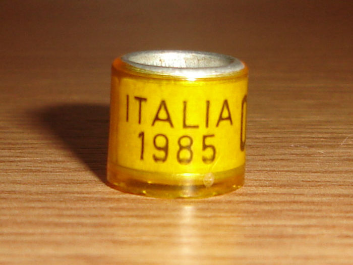 Italia 1985 - ITALIA