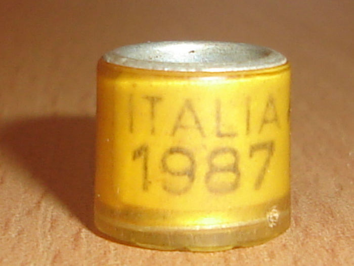 Italia 1987 - ITALIA