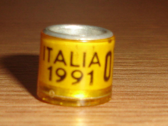 Italia 1991 - ITALIA