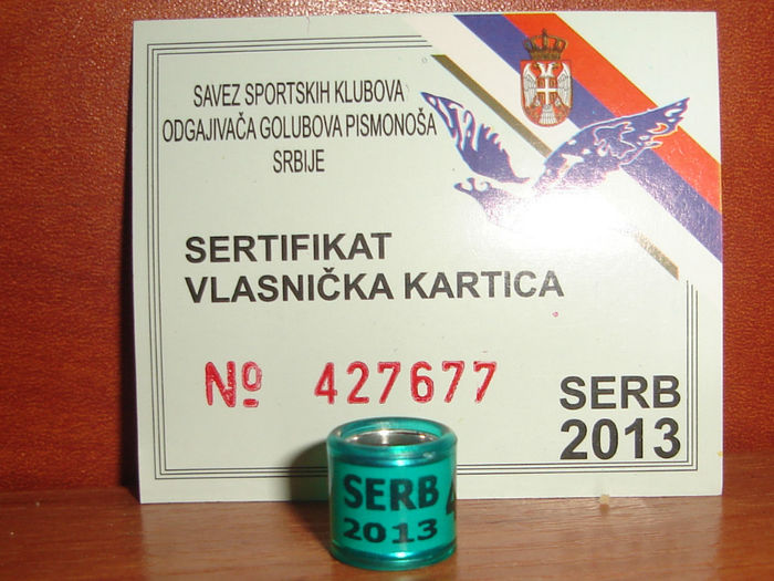 serbia 2013