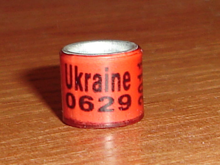 ukraina 2011 - UKRAINA