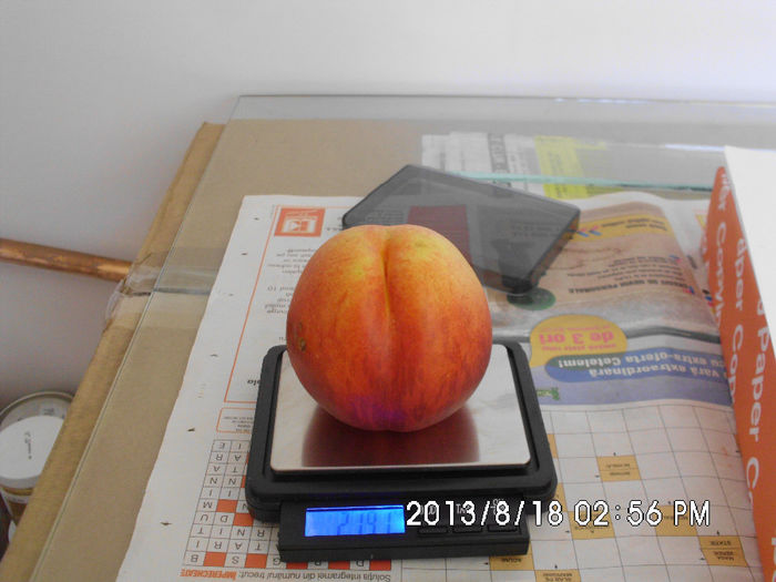 IMG_0244 - Pomi fructiferi