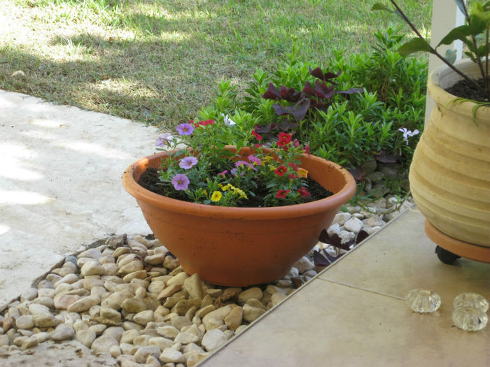 020 - gradina-septembrie
