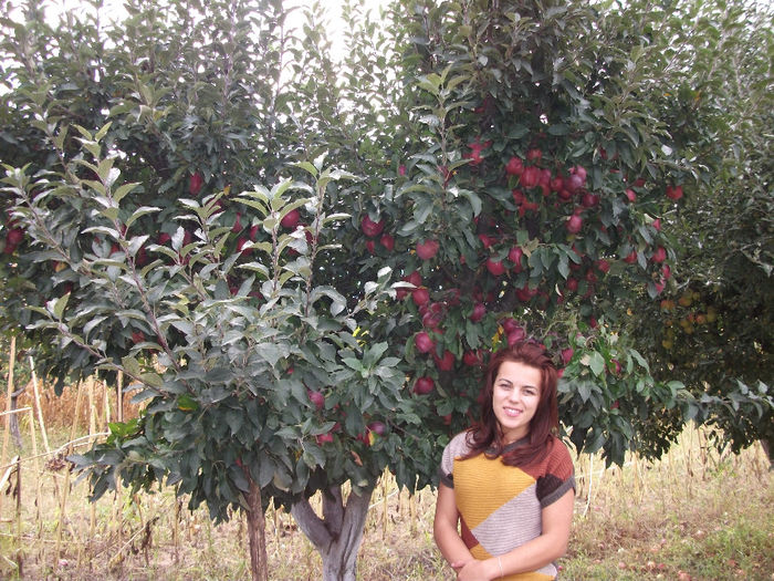 DSCF0959 (21-09-2013); (21-09-2013)
