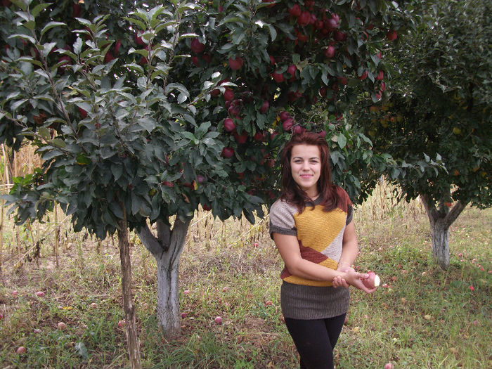 DSCF0960 (21-09-2013); (21-09-2013)
