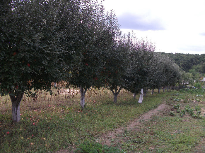 DSCF0963 (21-09-2013); (21-09-2013)
