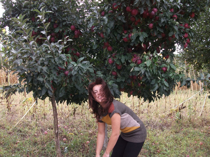 DSCF0971 (21-09-2013); (21-09-2013)
