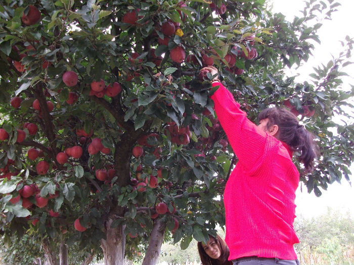 DSCF0975 (21-09-2013); (21-09-2013)
