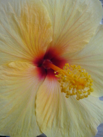 IMG_20130925_125124 - sunny cities-bari