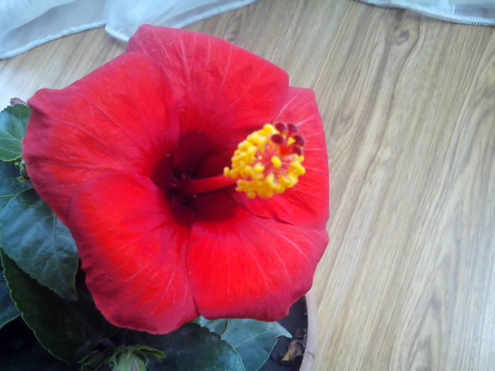 IMG_20130925_125423 - sunny cities-paris