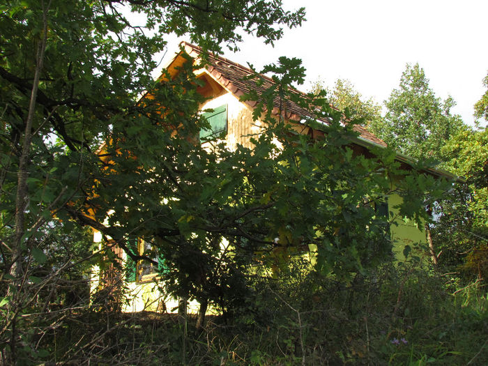 -- 1855 - Cabana noua in mijlocul naturii