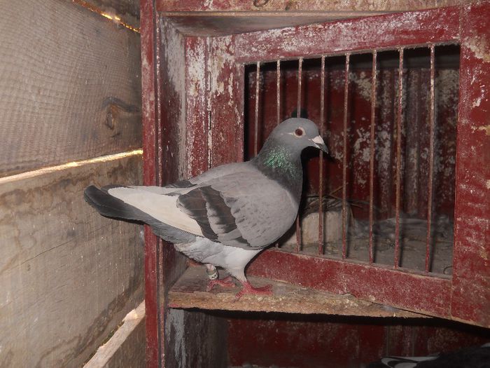 7 cls. in 2012,7 cls. in 2013...