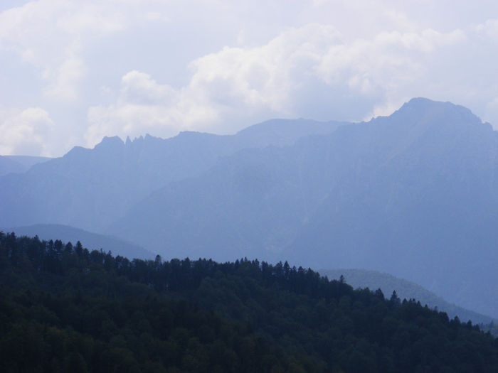 DSCF9605 - Peisaje de munte