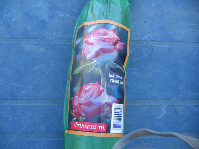 IMG_0223 - Trandafiri achizitii