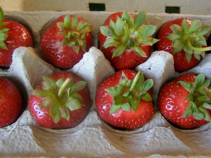 538877_438853936127418_1375845535_n[1]