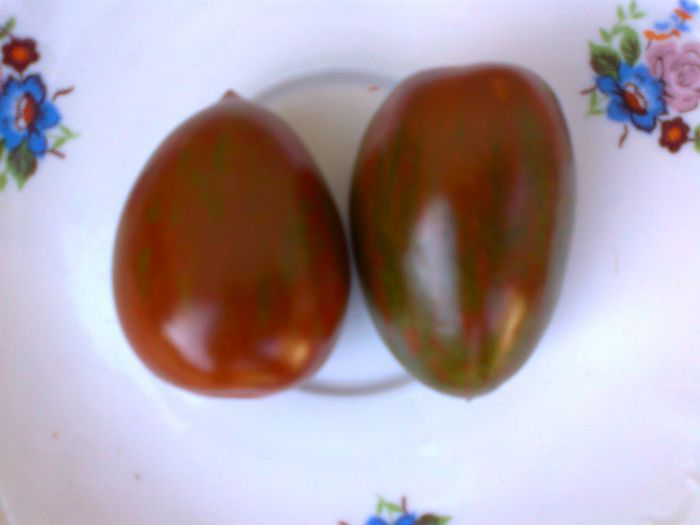 BLACK PLUM; BLACK PLUM
