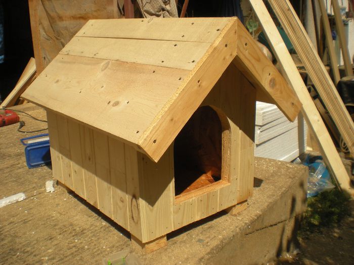 DSCN6653 - 1 Custi cotete lemn --- REALIZATE